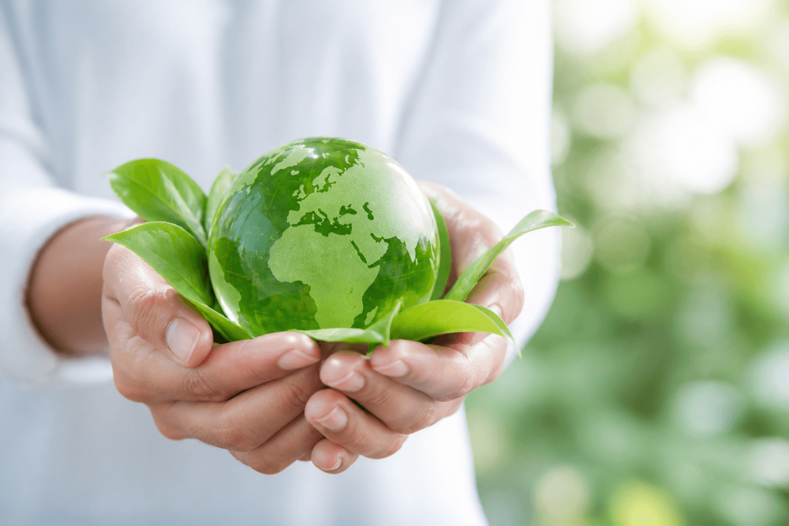 Hands holding a green globe for sustainability monitoring